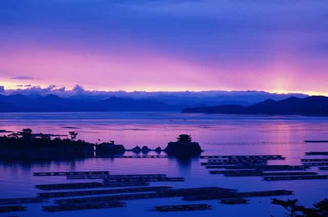 如何教养孩子视频