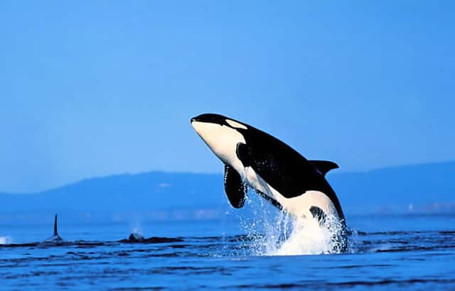 生理盐水是淡盐水吗 问医生