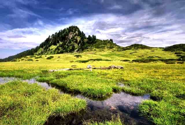 填志愿录取了多久能查到结果