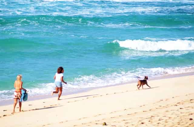 包的皮蛋特别干怎么回事